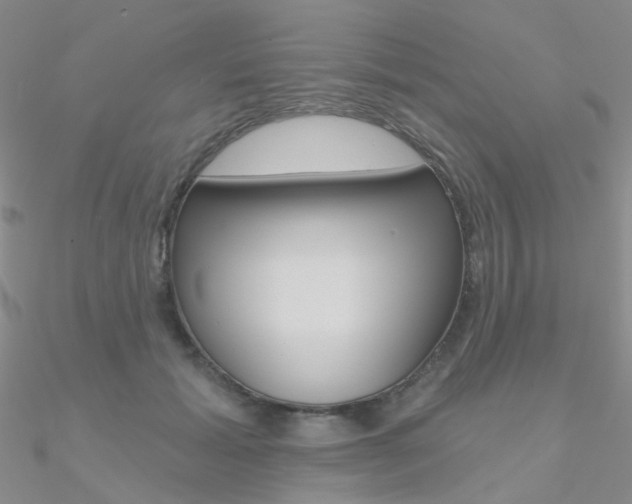 X0000090970605200708021144