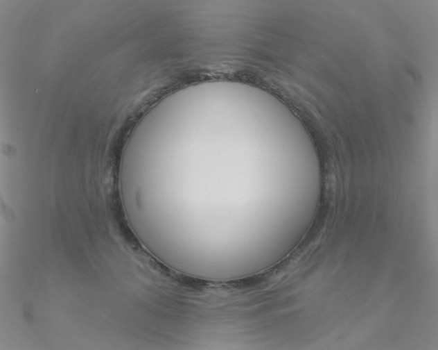 X0000090970608200708021144