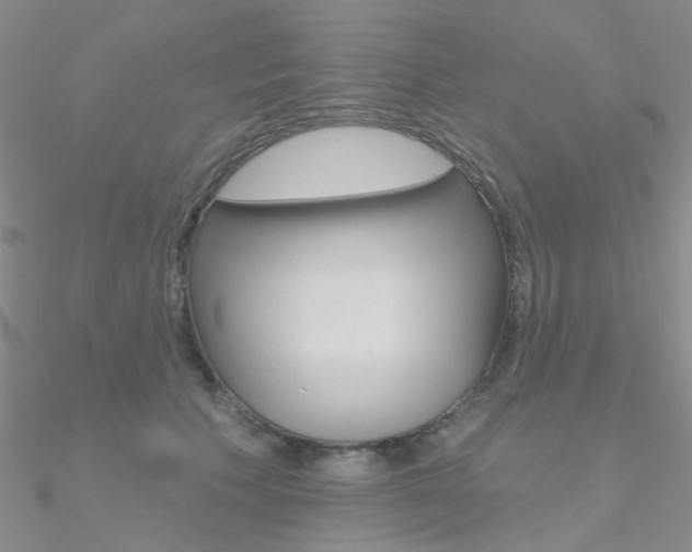 X0000090970609200708021144