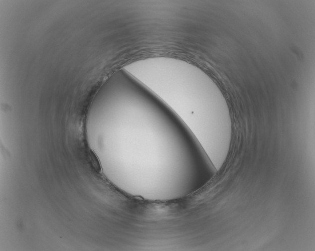 X0000090970613200708021144