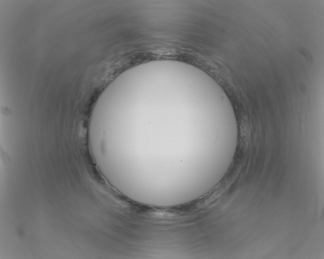 X0000090970614200708021144