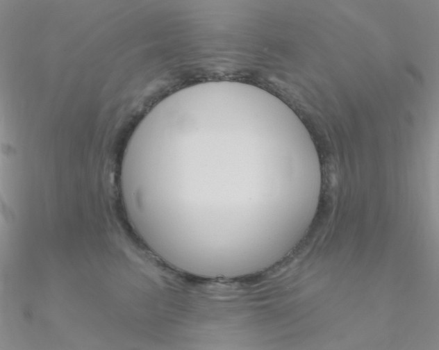 X0000090970615200708021144
