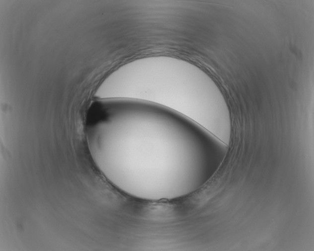 X0000090970617200708021144