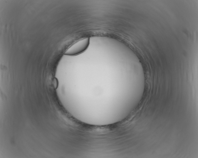 X0000090970619200708021144