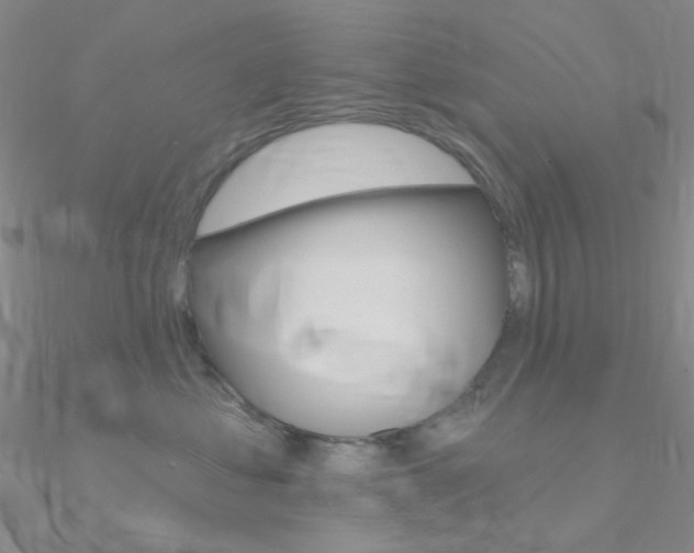 X0000090970621200708021144