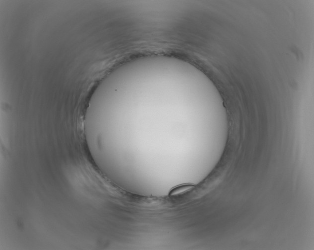 X0000090970624200708021144