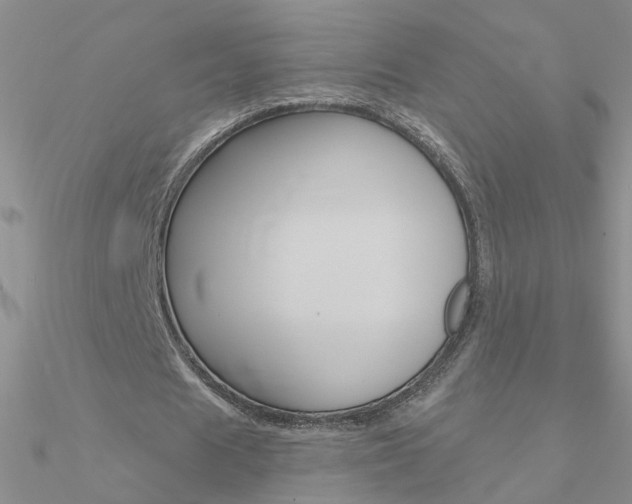 X0000090970625200708021143