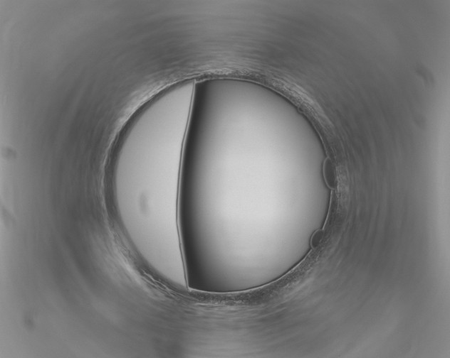 X0000090970626200708021143