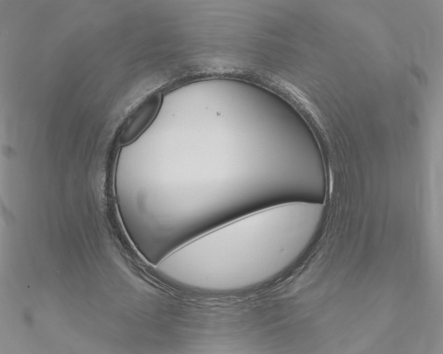 X0000090970627200708021143