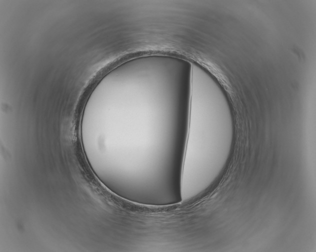 X0000090970628200708021143
