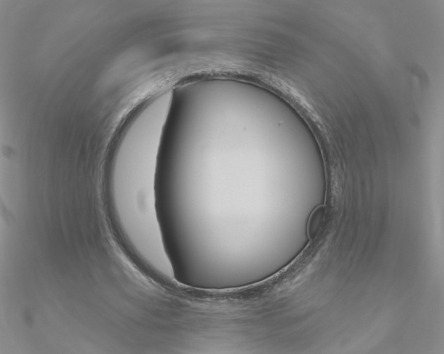 X0000090970629200708021143