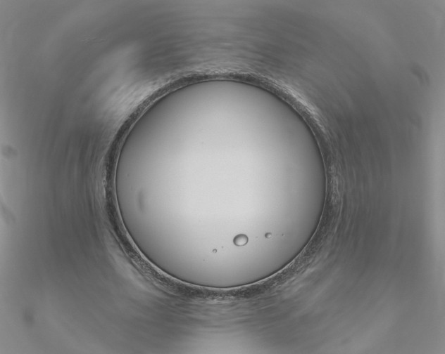 X0000090970631200708021143