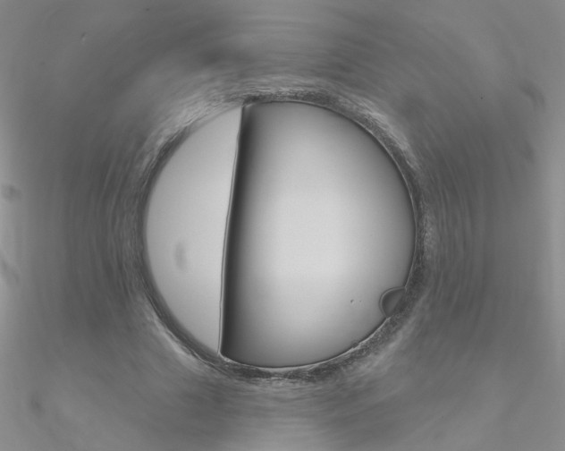 X0000090970633200708021143