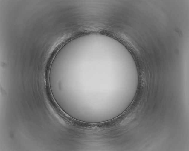 X0000090970634200708021143