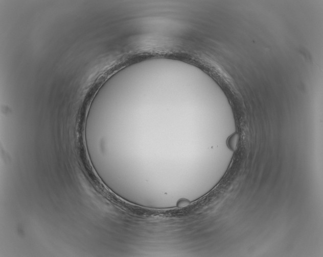 X0000090970635200708021143