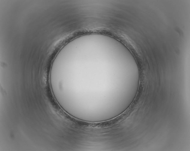 X0000090970640200708021143