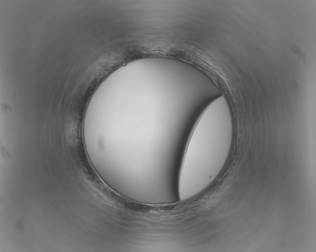 X0000090970641200708021143
