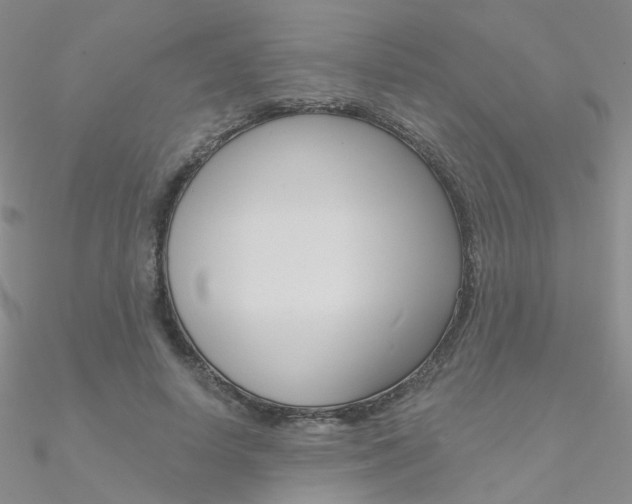 X0000090970642200708021143