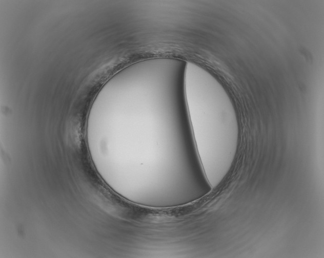 X0000090970644200708021143
