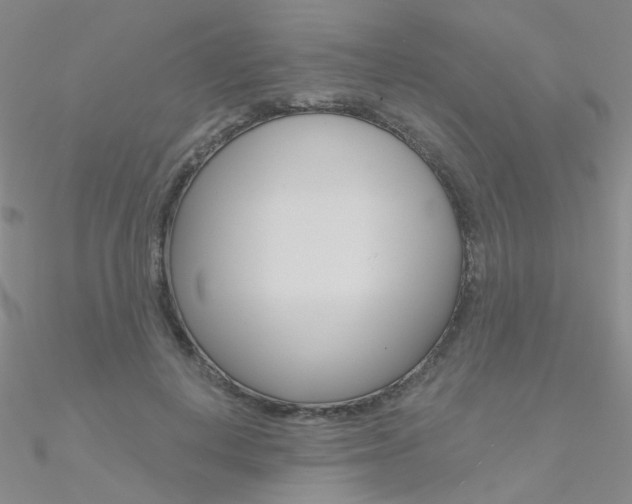 X0000090970648200708021143