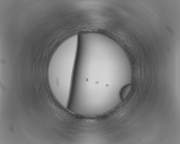 X0000090970649200708021143