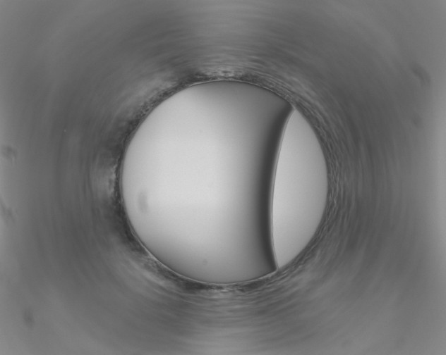 X0000090970652200708021143