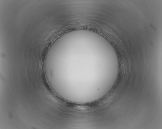 X0000090970654200708021143