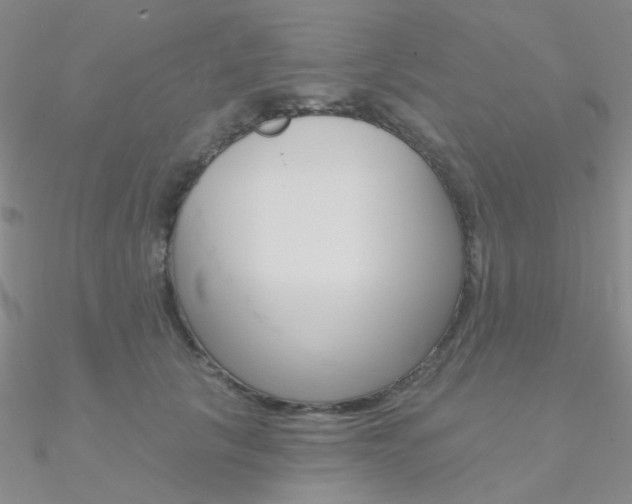 X0000090970657200708021143