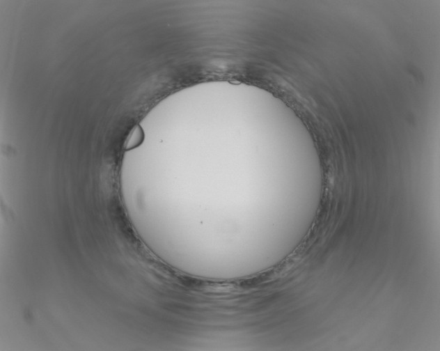 X0000090970659200708021143