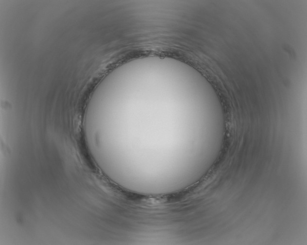 X0000090970660200708021143