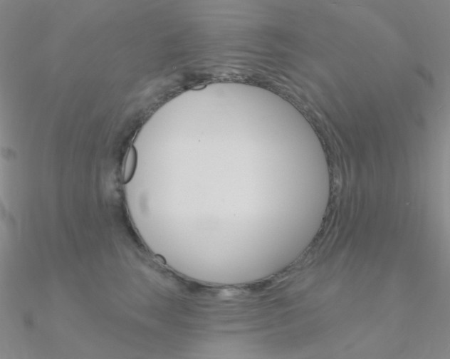 X0000090970663200708021143