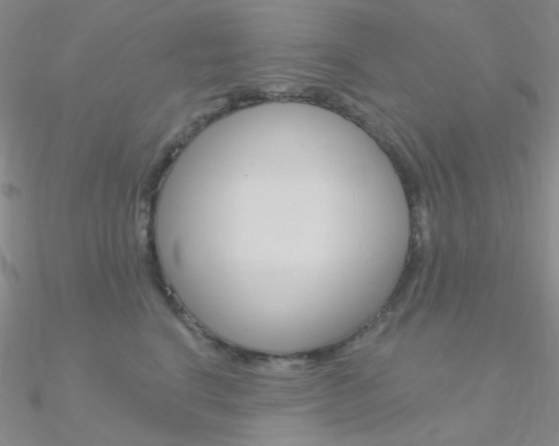 X0000090970664200708021143