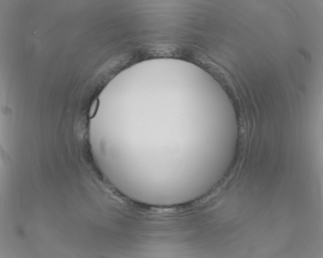 X0000090970665200708021143