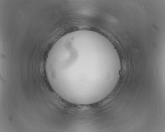 X0000090970667200708021143