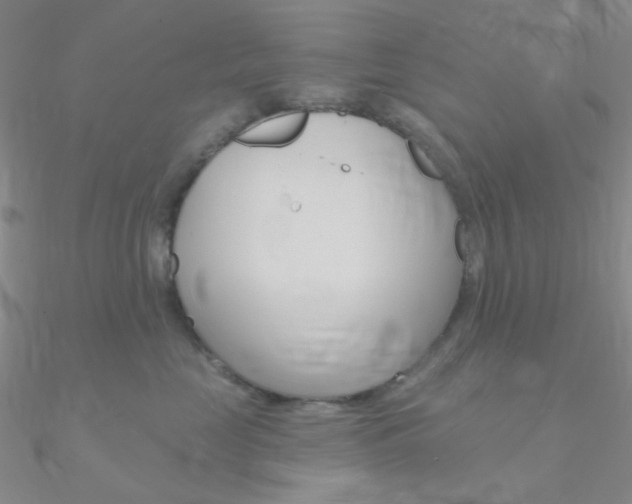 X0000090970669200708021144