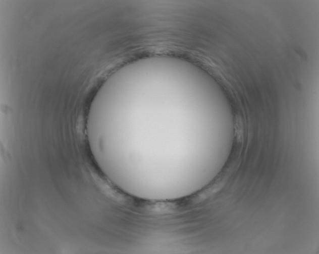 X0000090970670200708021144