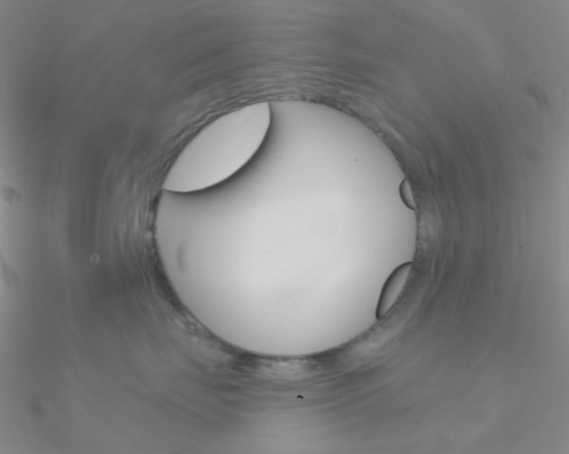 X0000090970671200708021144