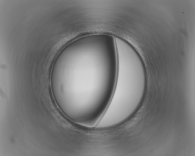 X0000090970673200708021143