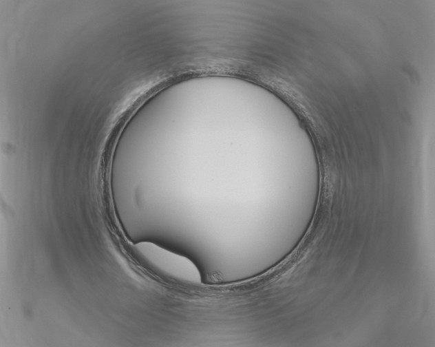 X0000090970674200708021143