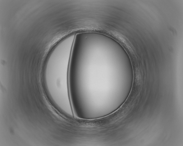 X0000090970677200708021143