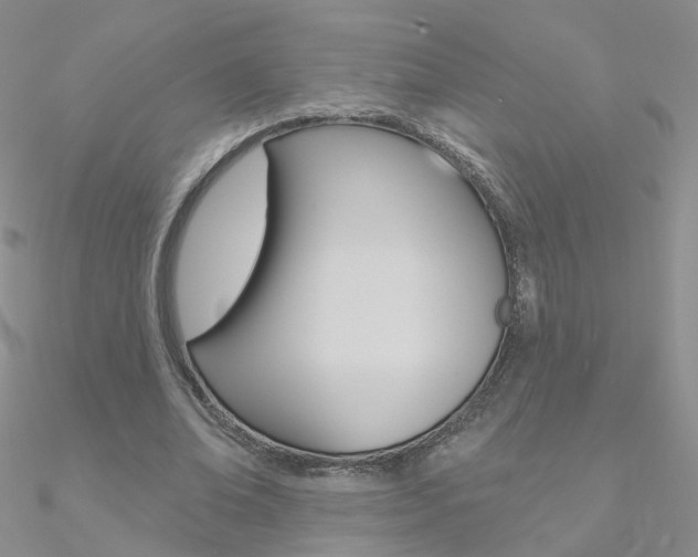 X0000090970678200708021143