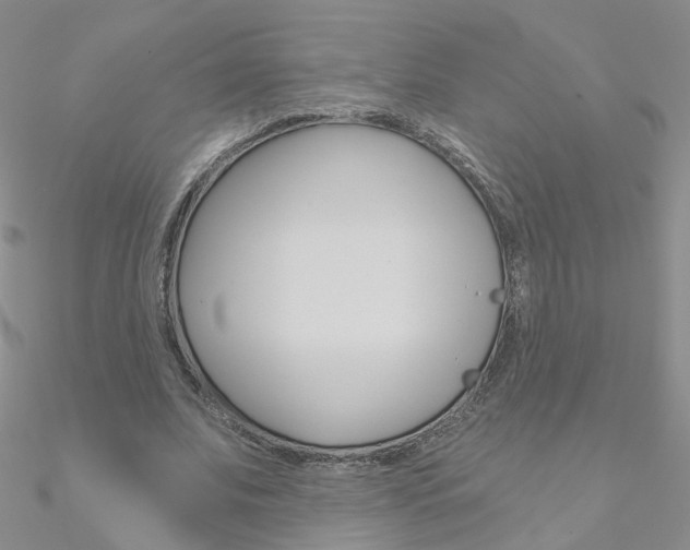 X0000090970679200708021143
