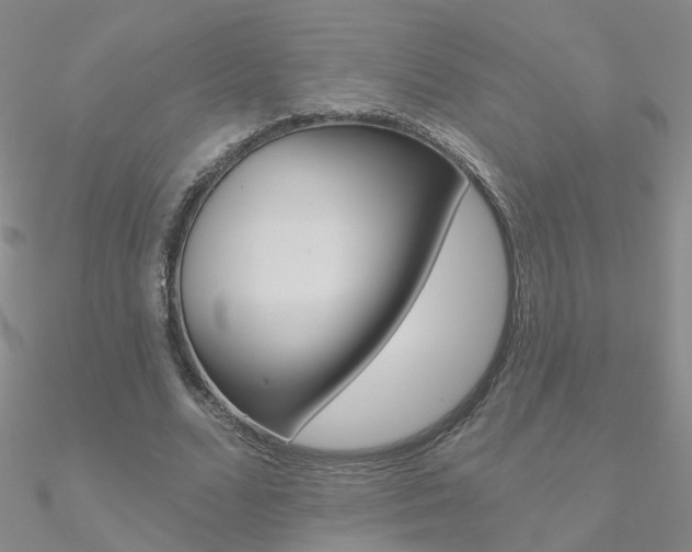 X0000090970680200708021143