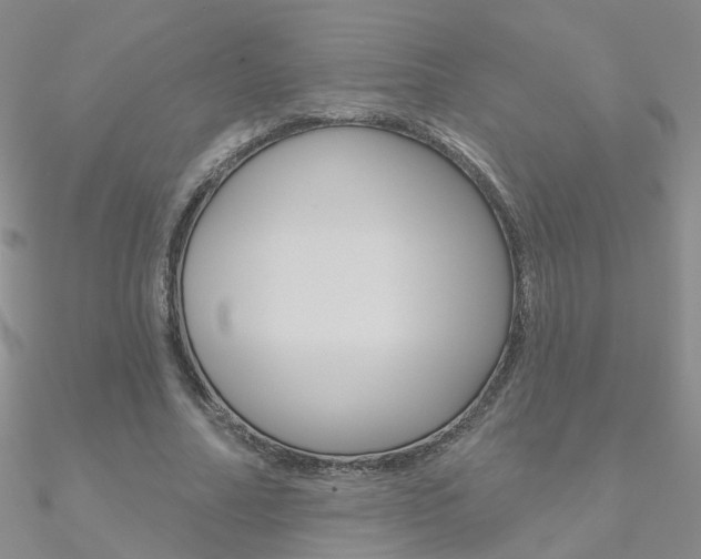 X0000090970682200708021143