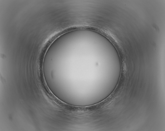 X0000090970684200708021143