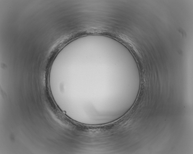 X0000090970686200708021143