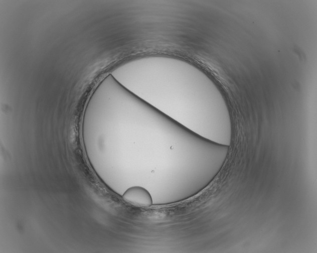 X0000090970687200708021143