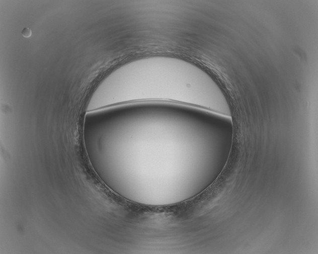 X0000090970689200708021143