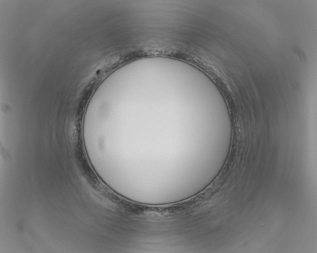X0000090970690200708021143
