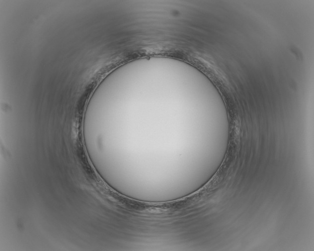 X0000090970691200708021143